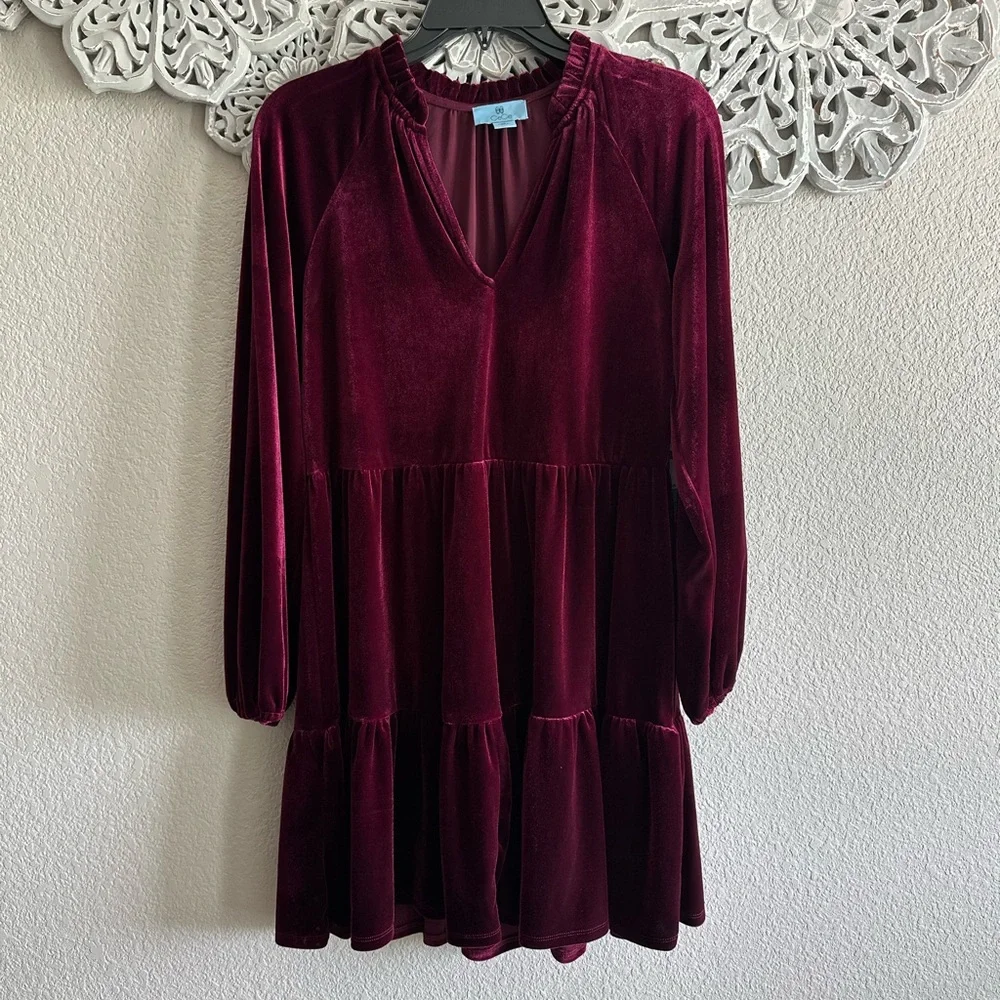 CeCe Velvet Dress - Picture 2 of 3